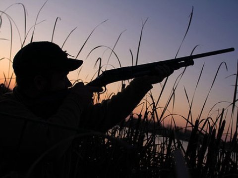 Qanunsuz balıq ovlayanlar cəzalandırıldı