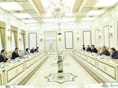 Sahibə Qafarova Gürcüstanın XİN rəhbəri ilə görüşüb - YENİLƏNİB