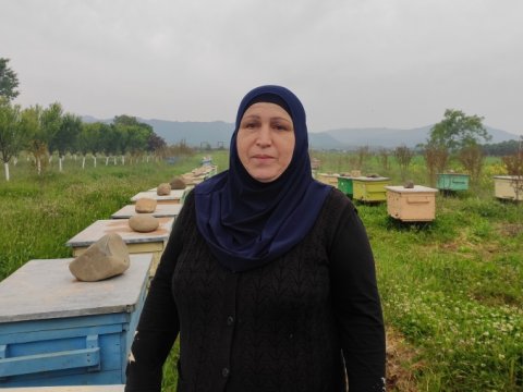 Cehiz apardığı arıların hesabına seçilən bal markası yaratdı - REPORTAJ