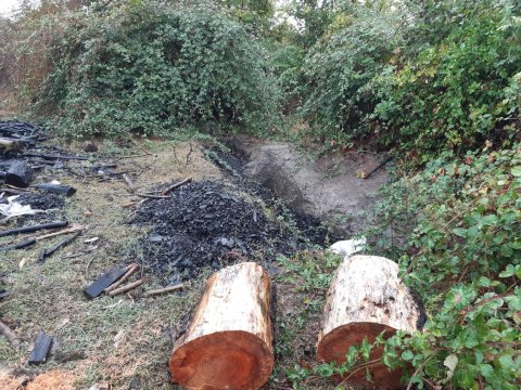 Meşələrin yaxınlığında qanunsuz ocaqxanalar aşkarlandı