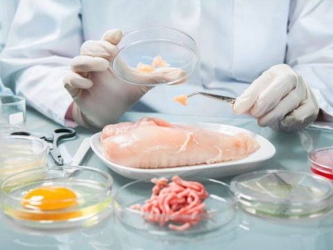 Daha bir qanun layihəsi 3-cü oxunuşdan keçdi