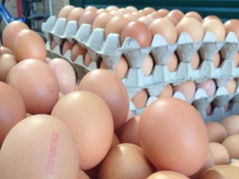 Azərbaycan Rusiyaya yumurta ixrac edəcək