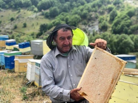 “Bu işin sirrini heç kim öyrənə bilməz” - Kəlbəcərə köç edən məşhur arıçı ilə MÜSAHİBƏ