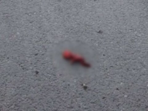 Ölmüş dölü bağ evinə atan qadın SAXLANILDI