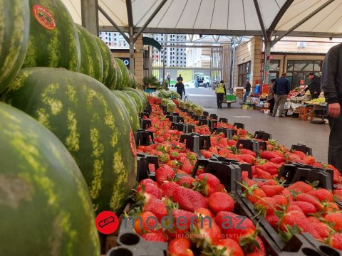 Qiymət baha, dad eyni - Satışda olan meyvələr GMO-ludur