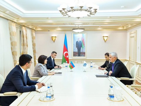 Sahibə Qafarova İƏT-in Baş katibi ilə GÖRÜŞDÜ