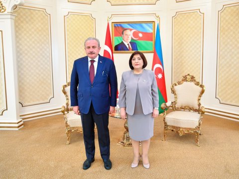 Azərbaycan və Türkiyə parlament sədrləri görüşdü