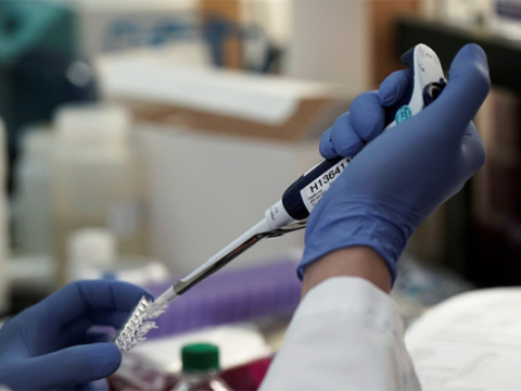 Meymunçiçəyinə qarşı peyvənd bəlli oldu - Baş infeksionist