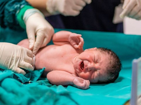 Azərbaycanda 25 körpəyə Allahşükür adı verilib