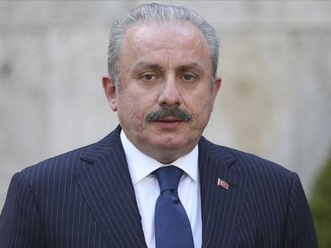 Şentop: Azərbaycanla birgə universitetin yaradılması vacibdir