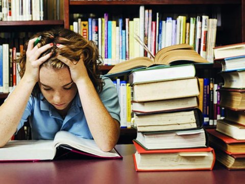 Elmi kadr potensialı: namizədlik və doktorluq üzrə təhsil alanların SAYI