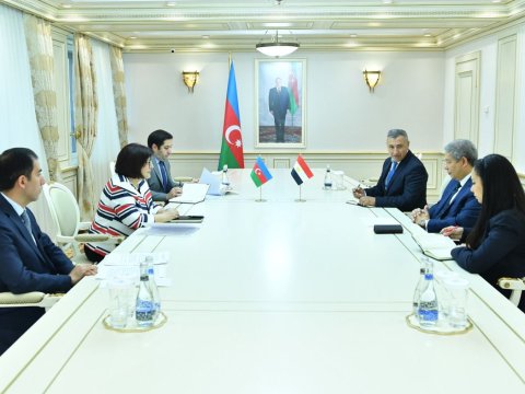 Sahibə Qafarova Misir səfirilə görüşdü