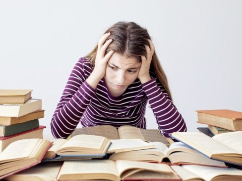 Bu rayonun məzunları niyə az bal toplayır – Deputat səbəblərini AÇIQLADI