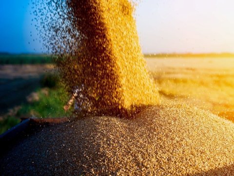 Rusiyadan taxıl idxalını azaltmalıyıq - DEPUTAT