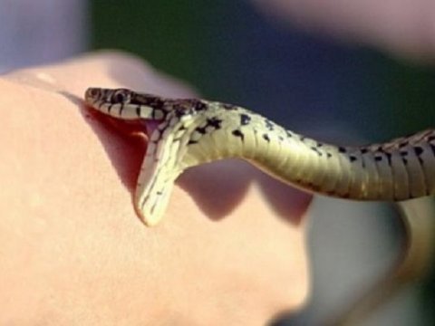 Füzulidə şirkət rəsmisini İLAN SANCDI