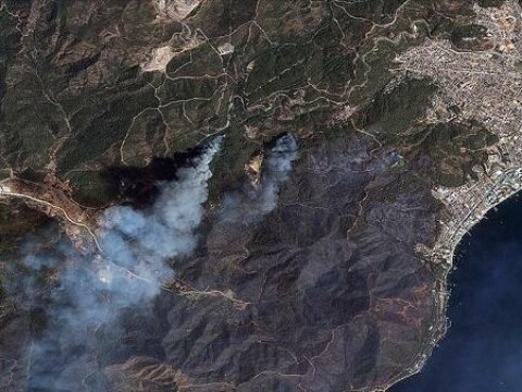 Türkiyədə meşə yanğınları - Hazırda vəziyyət necədir?