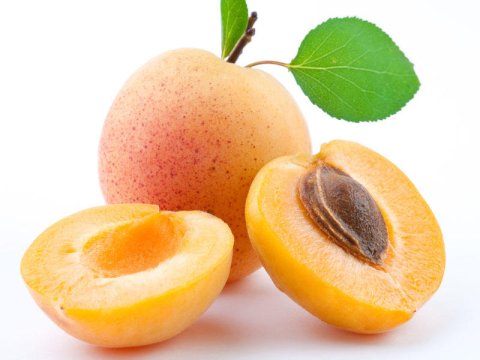 Sabahdan ərik ucuzlaşacaq