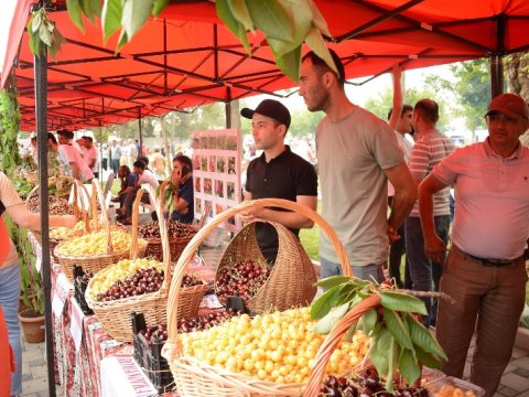 Azərbaycanda ilk “Albalı və gilas” festivalı keçirilib - FOTOLAR
