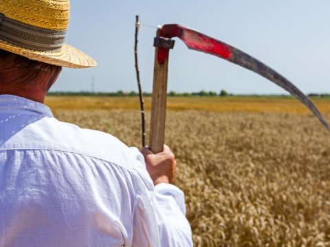 Çapay Sadıqlı nə üstündə öldürülüb... - AXCP fəalının qətlinin TƏFƏRRÜATI