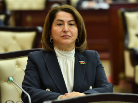 Daha bir deputata vəzifə verildi