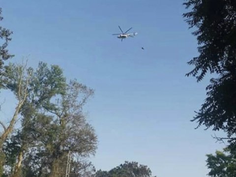 Xaçmazda meşə yanğını nəzarətə alınıb