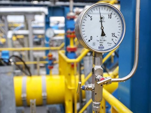 Avropada qazın qiyməti 1750 dolları ÖTÜB