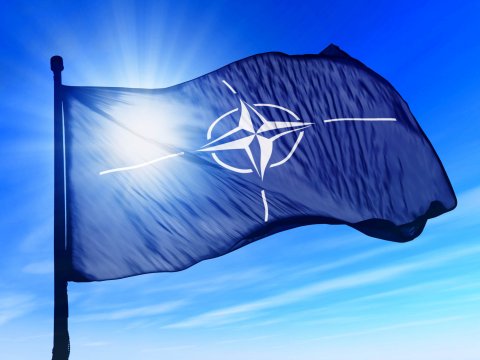 NATO Gürcüstana xüsusi status verdi 