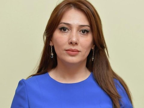 Lənkəranın icra başçısının müavininə cinayət işi AÇILDI