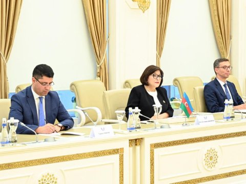Sahibə Qafarova türkiyəli nazirlə görüşüb