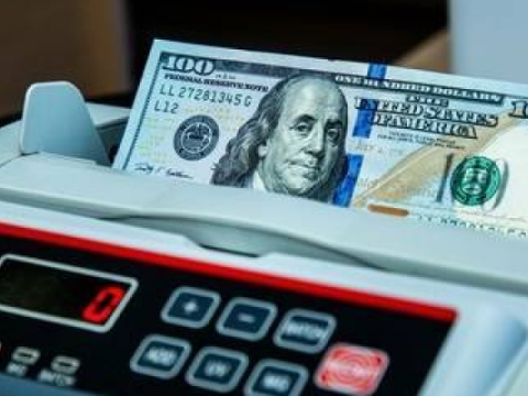 Valyuta hərracında dollara tələb artdı