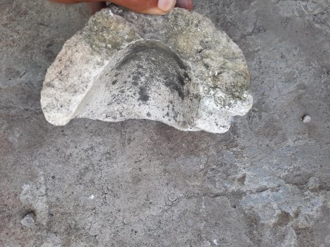 Ağdamda orta əsrlərə aid küp qalıqları tapıldı - FOTOLAR