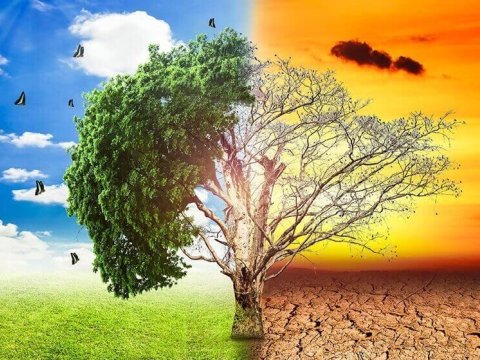 İstinin xeyrindən çox ziyanı var - ARAŞDIRMA