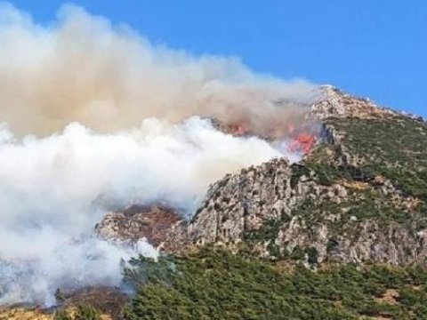 Şabranda güclü yanğın - 3 ev külə döndü