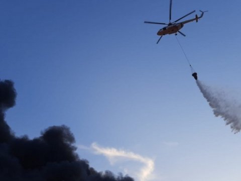 Qəbələdə meşə yanğını belə söndürülür - VİDEO