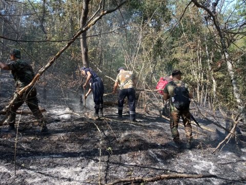 Siyəzən və Qubadakı yanğınlar nəzarətə götürüldü - FHN yeni video yaydı