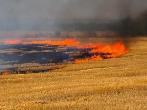 Oğuzda əkin sahəsi YANIR 