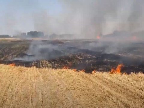 Ağcabədidə 50 hektar taxıl sahəsi yandı