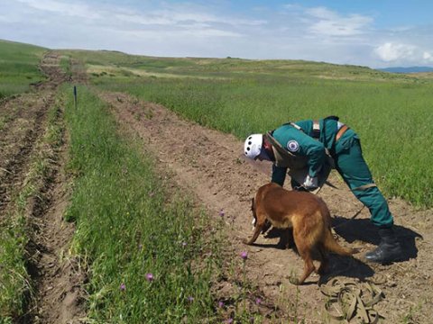 Hikmət Hacıyev Dina ilə bağlı paylaşım etdi - FOTO
