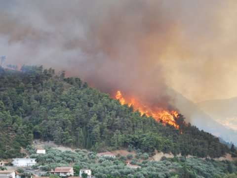 Şabrandakı yanğın məhdudlaşdırıldı
