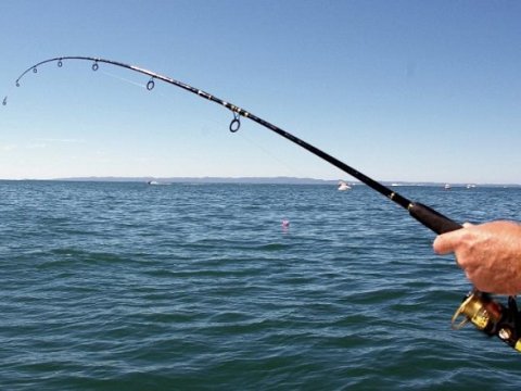 Sabahdan balıq ovuna icazə verilir