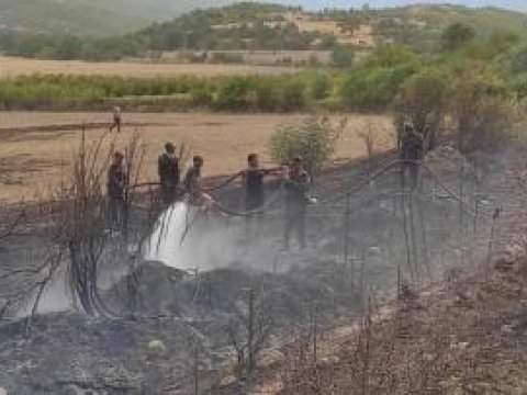 İsmayıllıdakı yanğın söndürüldü