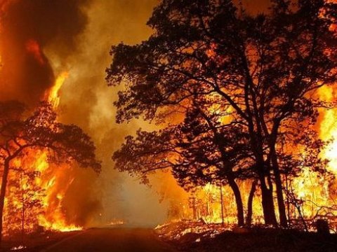 FHN yanğınlarla bağlı son məlumatı açıqladı