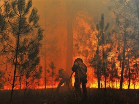 Zaqatalada yanğın belə söndürülür - VİDEO