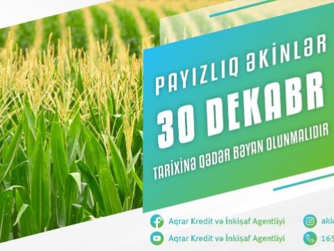 Payızlıq əkin bəyanlarının qəbuluna başlanıldı