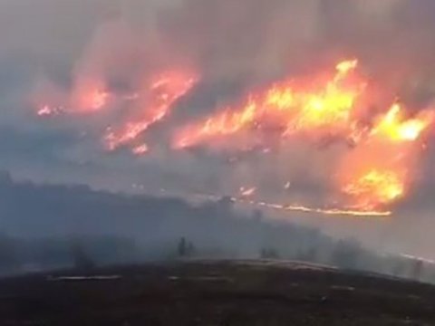 Zaqatalada meşə yanğınları davam edir - VİDEO
