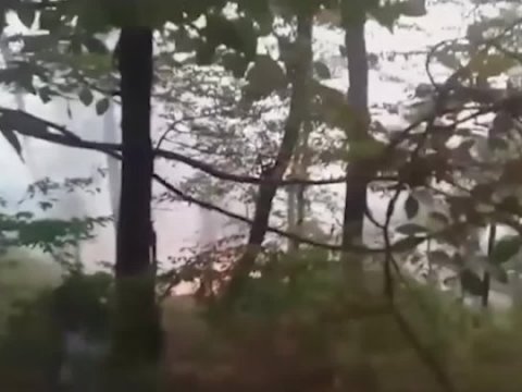 Zaqatalada meşə yanğını nəzarətə alındı 