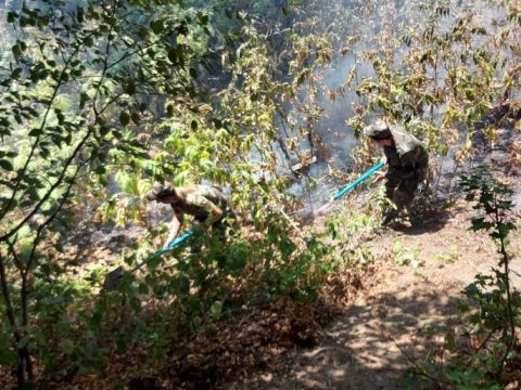 Zaqatalada yanğının yayılmasının qarşısı alındı - VİDEO