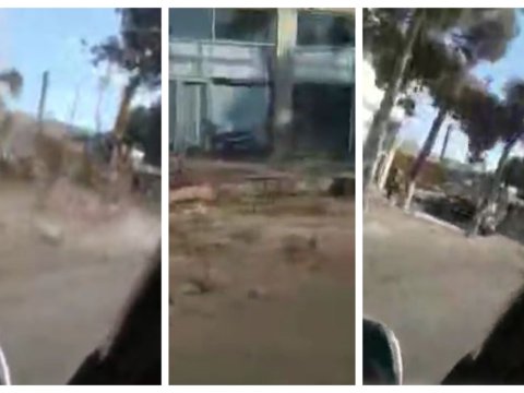 Buzovnada ağacların kəsilməsi faktı araşdırıldı