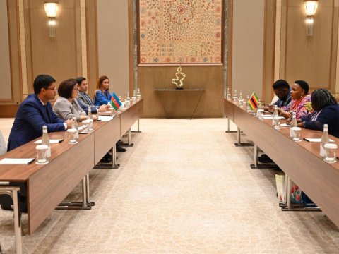Sahibə Qafarova Zimbabve Senatının sədrilə görüşüb
