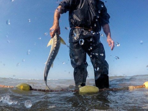 Brakonyer nazirlik əməkdaşlarının olduğu qayığı yandırdı